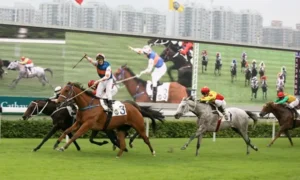 Làm Giàu Từ Cá Cược Đua Ngựa F168 Không Phải Ai Cũng Biết