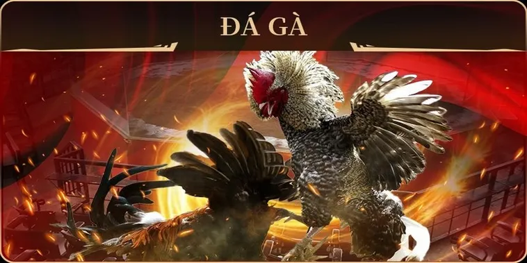 Chinh Phục Cách Chơi Đá Gà GA28 Tại F168 Cho Người Mới 2 Chinh Phục Cách Chơi Đá Gà GA28 Tại F168 Cho Người Mới