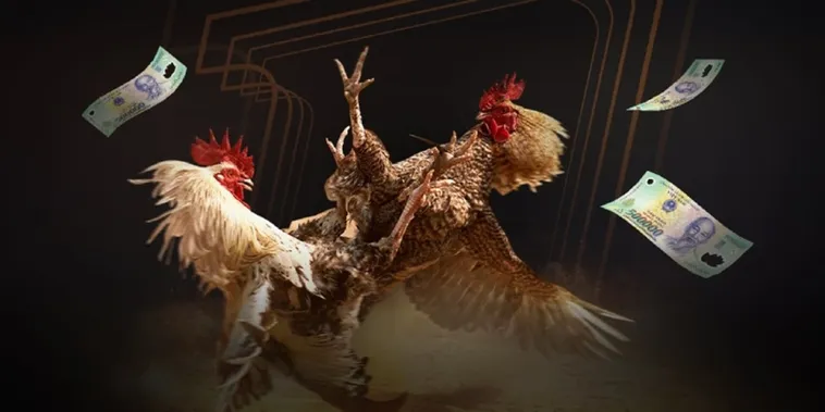 Khám Phá Đấu Trường Đá Gà F168 Trực Tiếp Đẳng Cấp Hàng Đầu 1 Khám Phá Đấu Trường Đá Gà F168 Trực Tiếp Đẳng Cấp Hàng Đầu